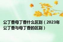 公丁香母丁香什么区别（2023年公丁香与母丁香的区别）