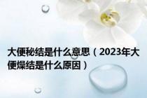 大便秘结是什么意思（2023年大便燥结是什么原因）
