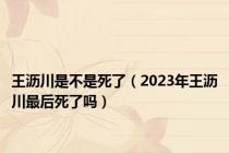 王沥川是不是死了（2023年王沥川最后死了吗）