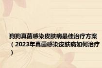 狗狗真菌感染皮肤病最佳治疗方案（2023年真菌感染皮肤病如何治疗）