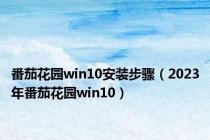 番茄花园win10安装步骤（2023年番茄花园win10）