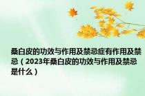 桑白皮的功效与作用及禁忌症有作用及禁忌（2023年桑白皮的功效与作用及禁忌是什么）