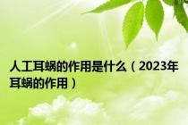 人工耳蜗的作用是什么（2023年耳蜗的作用）