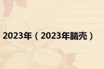 2023年（2023年脑壳）