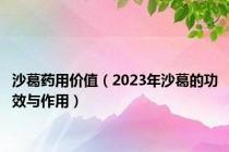 沙葛药用价值（2023年沙葛的功效与作用）