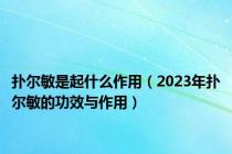 扑尔敏是起什么作用（2023年扑尔敏的功效与作用）