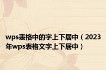 wps表格中的字上下居中（2023年wps表格文字上下居中）