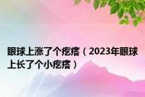 眼球上涨了个疙瘩（2023年眼球上长了个小疙瘩）