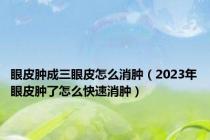 眼皮肿成三眼皮怎么消肿（2023年眼皮肿了怎么快速消肿）