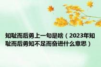 知耻而后勇上一句是啥（2023年知耻而后勇知不足而奋进什么意思）