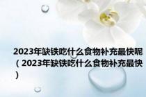 2023年缺铁吃什么食物补充最快呢（2023年缺铁吃什么食物补充最快）