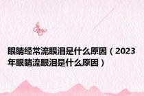 眼睛经常流眼泪是什么原因（2023年眼睛流眼泪是什么原因）