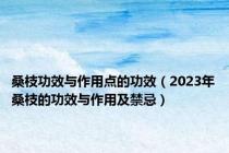 桑枝功效与作用点的功效（2023年桑枝的功效与作用及禁忌）