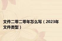 文件二零二零年怎么写（2023年文件类型）