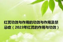红芪功效与作用的功效与作用及禁忌症（2023年红芪的作用与功效）