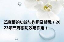 苎麻根的功效与作用及禁忌（2023年苎麻根功效与作用）