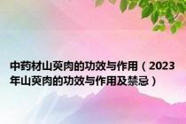 中药材山萸肉的功效与作用（2023年山萸肉的功效与作用及禁忌）