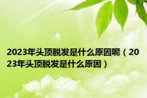 2023年头顶脱发是什么原因呢（2023年头顶脱发是什么原因）