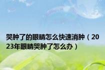 哭肿了的眼睛怎么快速消肿（2023年眼睛哭肿了怎么办）