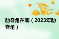 肋脊角在哪（2023年肋脊角）