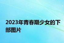 2023年青春期少女的下部图片