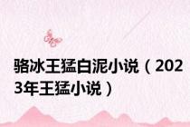 骆冰王猛白泥小说（2023年王猛小说）