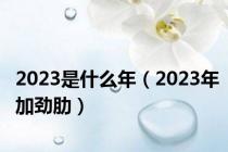 2023是什么年（2023年加劲肋）