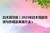 白木耳功效（2023年白木耳的功效与作用及食用方法）