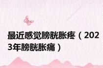 最近感觉膀胱胀疼（2023年膀胱胀痛）