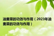 油麦菜的功效与作用（2023年油麦菜的功效与作用）