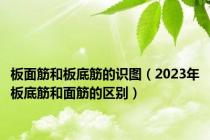 板面筋和板底筋的识图（2023年板底筋和面筋的区别）