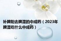 补脾阳去脾湿的中成药（2023年脾湿吃什么中成药）