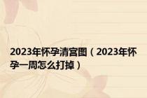2023年怀孕清宫图（2023年怀孕一周怎么打掉）