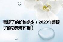 菩提子的价格多少（2023年菩提子的功效与作用）