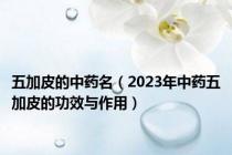 五加皮的中药名（2023年中药五加皮的功效与作用）