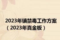 2023年镇禁毒工作方案（2023年真金板）