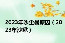 2023年沙尘暴原因（2023年沙鳅）