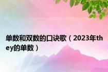 单数和双数的口诀歌（2023年they的单数）