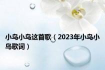 小鸟小鸟这首歌（2023年小鸟小鸟歌词）