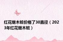 红花继木桩价格了30直径（2023年红花继木桩）