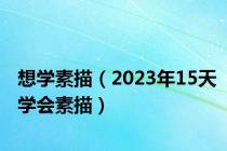 想学素描（2023年15天学会素描）