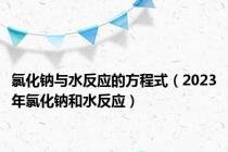 氯化钠与水反应的方程式（2023年氯化钠和水反应）