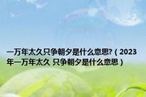 一万年太久只争朝夕是什么意思?（2023年一万年太久 只争朝夕是什么意思）