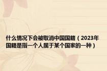 什么情况下会被取消中国国籍（2023年国籍是指一个人属于某个国家的一种）
