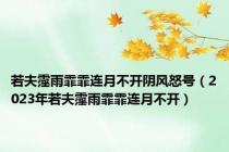 若夫霪雨霏霏连月不开阴风怒号（2023年若夫霪雨霏霏连月不开）