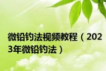 微铅钓法视频教程（2023年微铅钓法）