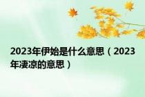 2023年伊始是什么意思（2023年凄凉的意思）
