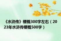 《水浒传》梗概300字左右（2023年水浒传梗概500字）