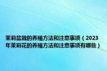 茉莉盆栽的养殖方法和注意事项（2023年茉莉花的养殖方法和注意事项有哪些）