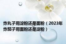 炸丸子用淀粉还是面粉（2023年炸茄子用面粉还是淀粉）